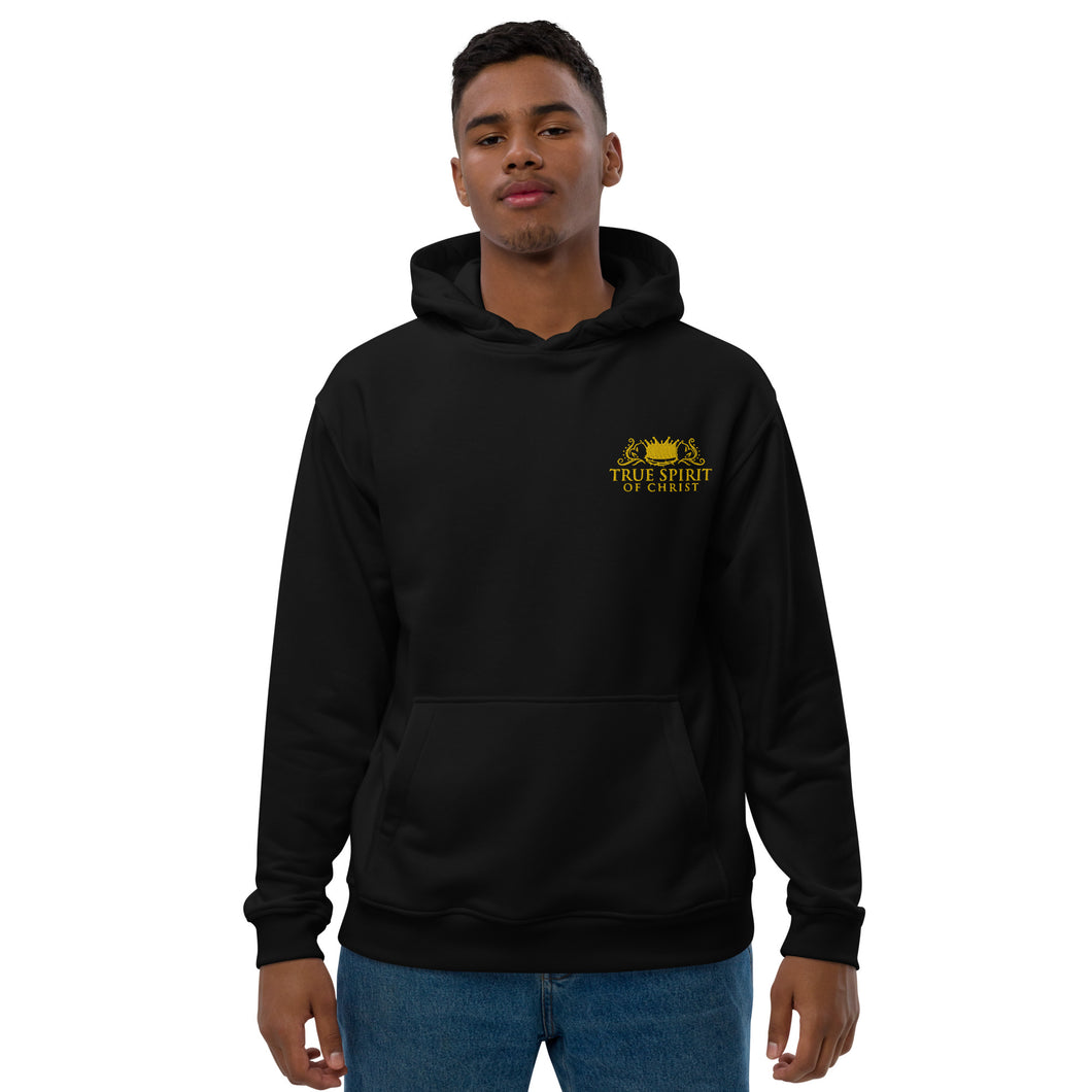 True Spirit of Christ hoodie